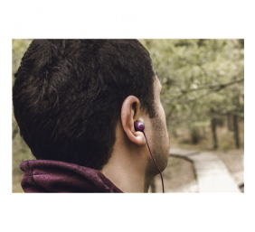 ACME HE21P Earphones With Mic